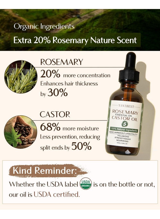 يانيبست زيت إكليل الجبل العطري العضوي من يانيبيست، زيت الخروع، زيت شعر طبيعي نقي 100% لتقوية الشعر وتغذيته وإصلاح الشعر التالف وتحسين صحة فروة الرأس - Image 2