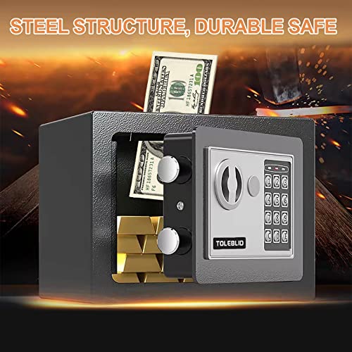 TOLEBLID Extra Large Heavy Duty Fireproof and Waterproof Home Safe - Anti-Theft Digital Security Box With Document Bag for Business Office Valuables - Image 2
