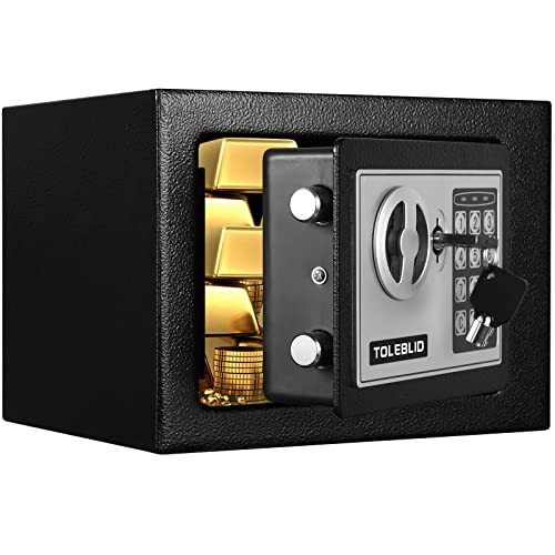 TOLEBLID Extra Large Heavy Duty Fireproof and Waterproof Home Safe - Anti-Theft Digital Security Box With Document Bag for Business Office Valuables - Image 1