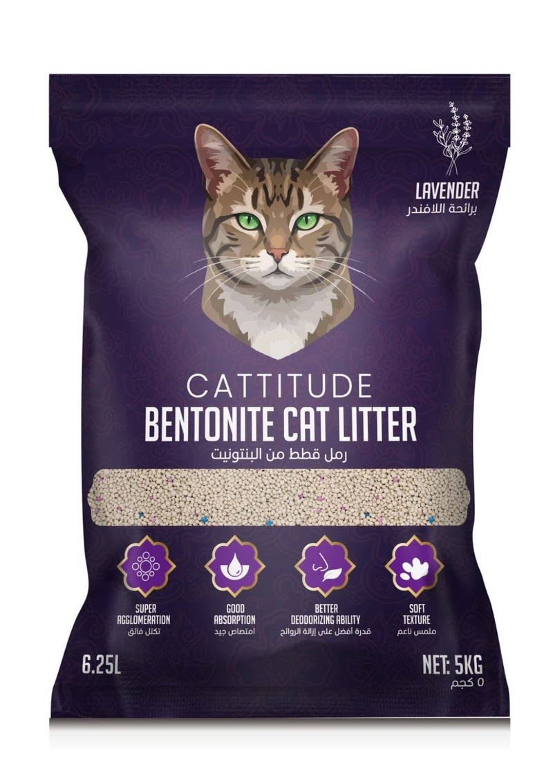 CATTITUDE PREMIUM CAT LITTER 5KG (6.25LTR)