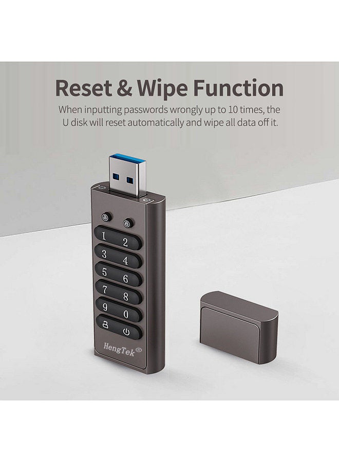 256GB 256-bit Encrypted USB Drive Password Secure Flash Drive USB3.0 U Disk Support Reset/Wipe/Auto Lock Function, Grey
