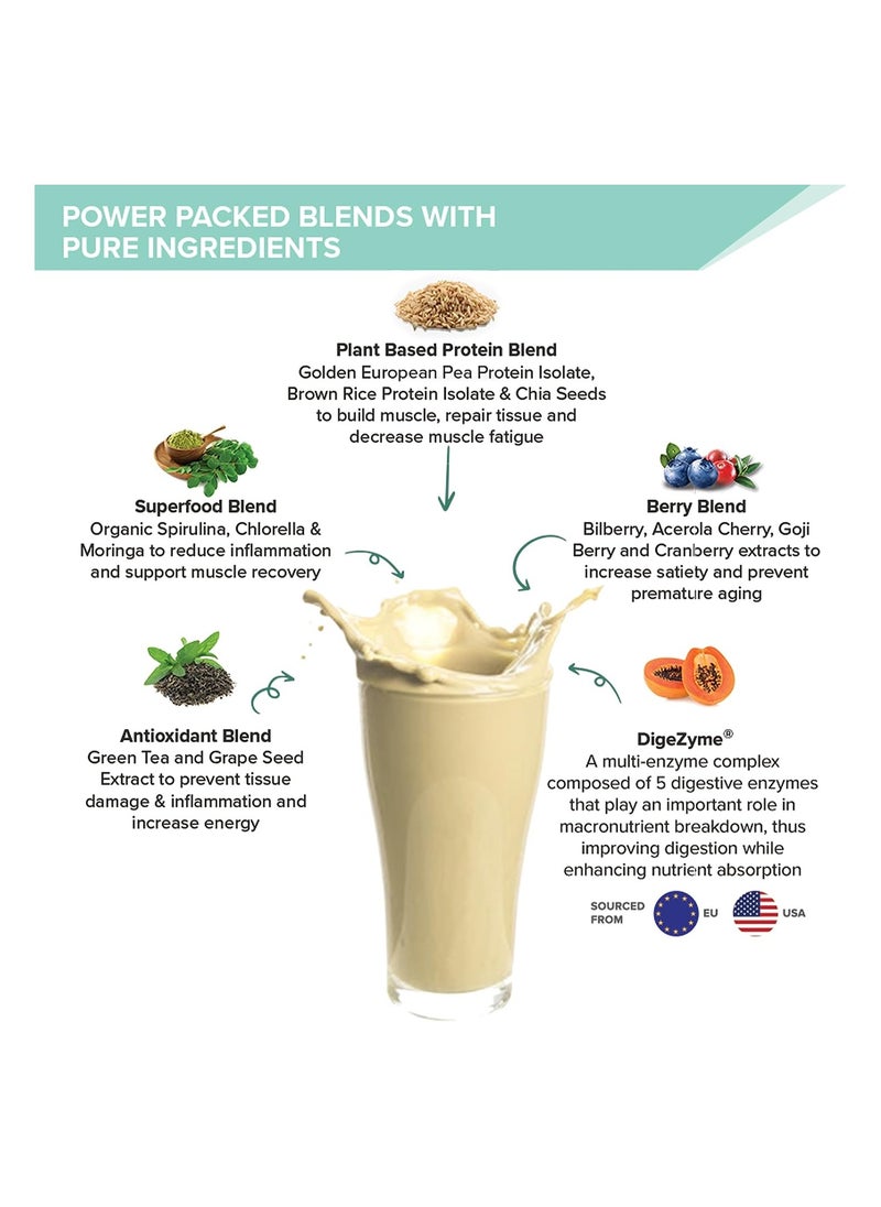 WELLBEING NUTRITION Superfood Plant Protein French Vanilla Flavor, Pack Of 2  - Image 3