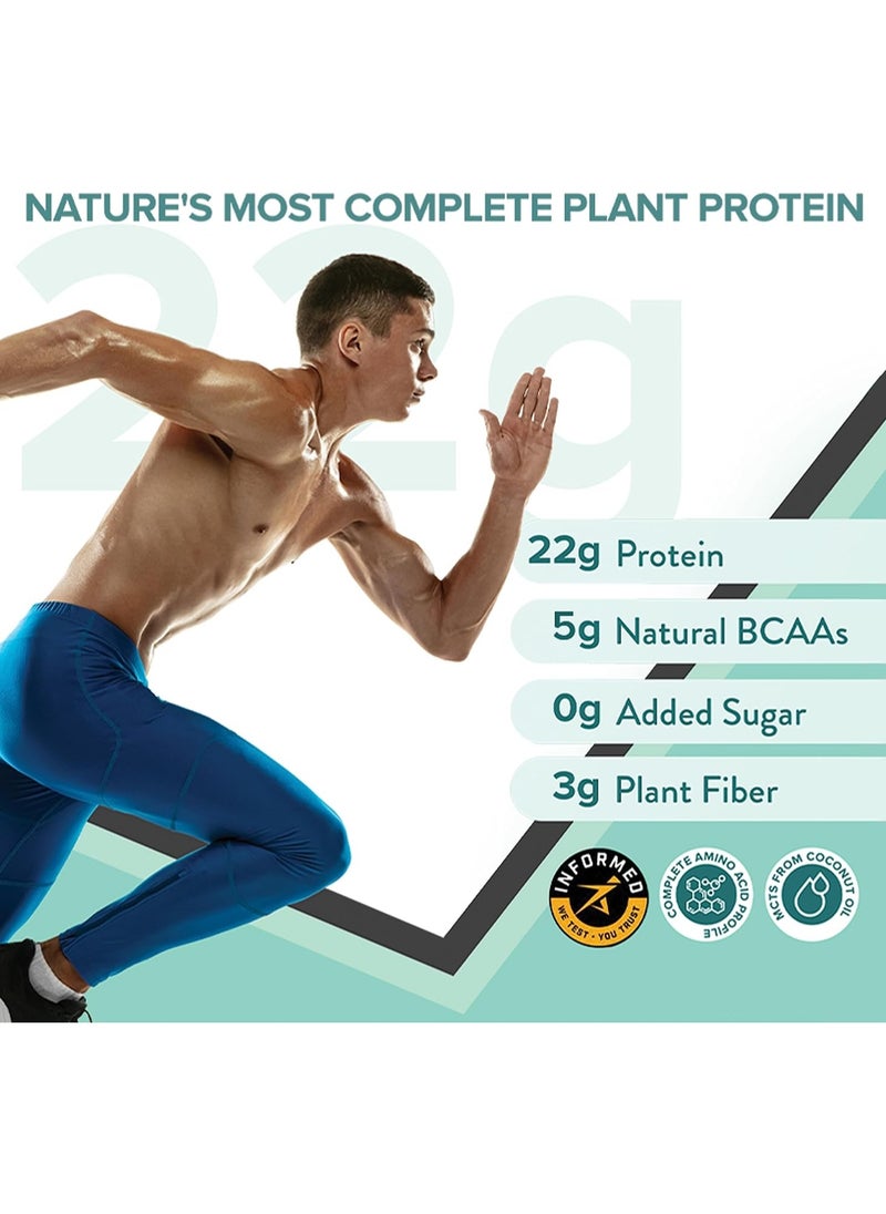 WELLBEING NUTRITION Superfood Plant Protein French Vanilla Flavor, Pack Of 2  - Image 2