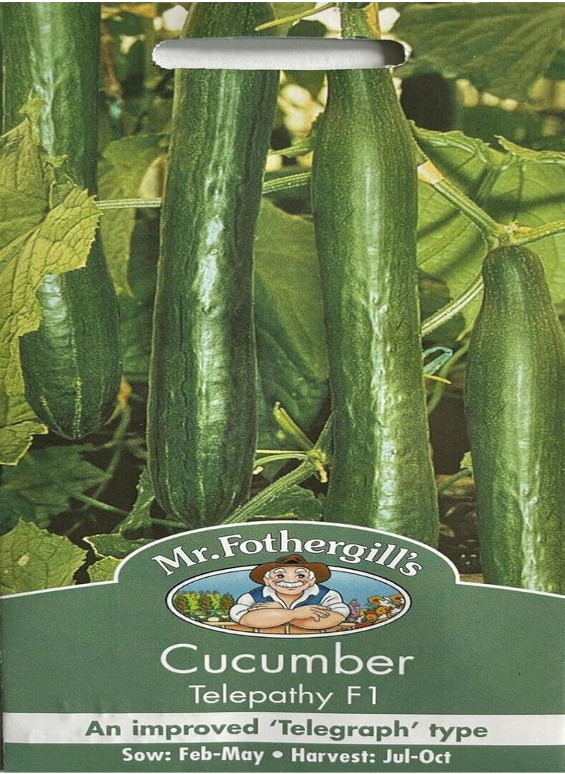 GGOOT Cucumber Telepathy F1, Cucumis Sativus, 10 Seeds by Heavy Torch  - Image 2