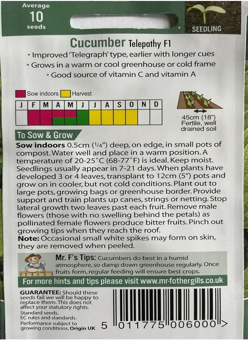 GGOOT Cucumber Telepathy F1, Cucumis Sativus, 10 Seeds by Heavy Torch  - Image 3