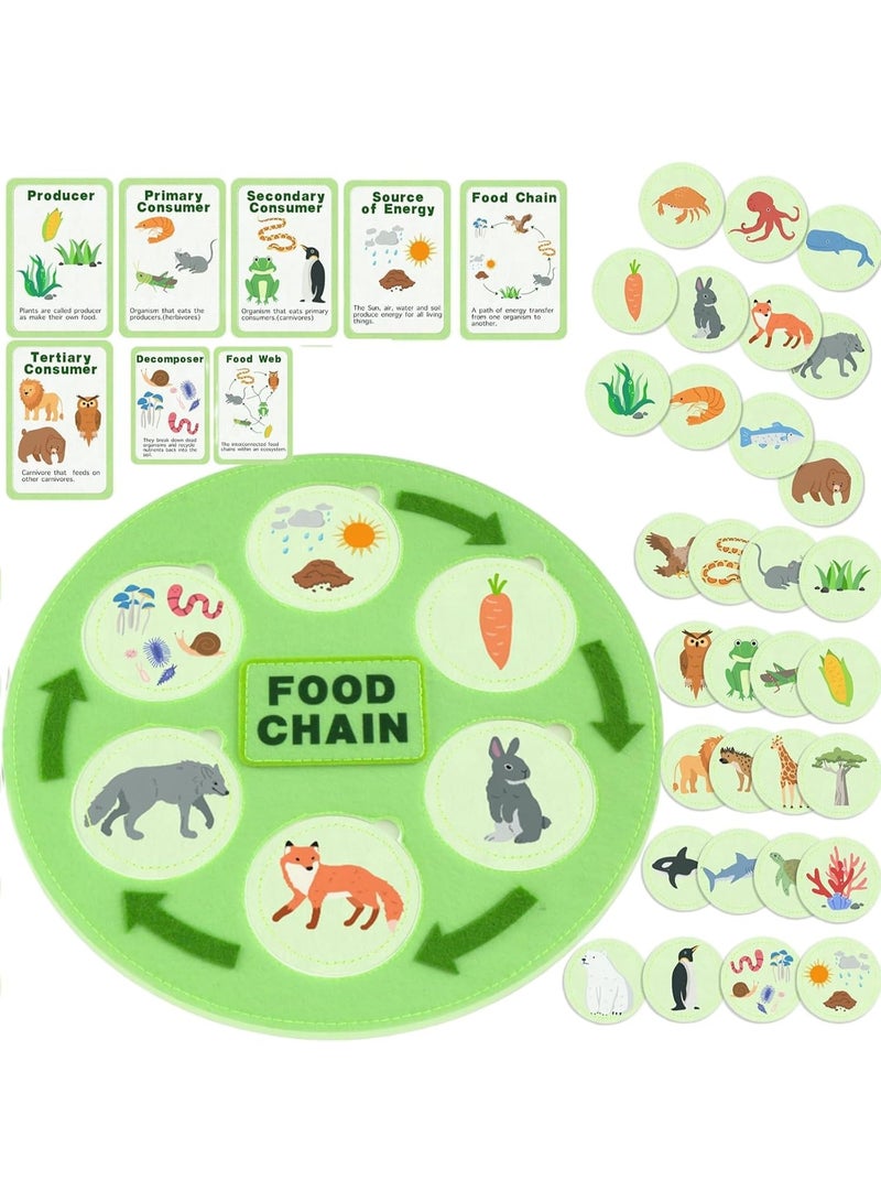 Life Cycle Kit Toy Montessori, 30 Flashcards, Toddler Science Activities for 2-4 Year Olds, Learning about Food Chains, Food Webs for Preschoolers,Early Learning Classroom Essentials,Educational Games - Image 1