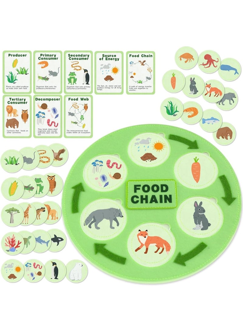 Life Cycle Kit Toy Montessori, 30 Flashcards, Toddler Science Activities for 2-4 Year Olds, Learning about Food Chains, Food Webs for Preschoolers,Early Learning Classroom Essentials,Educational Games - Image 2