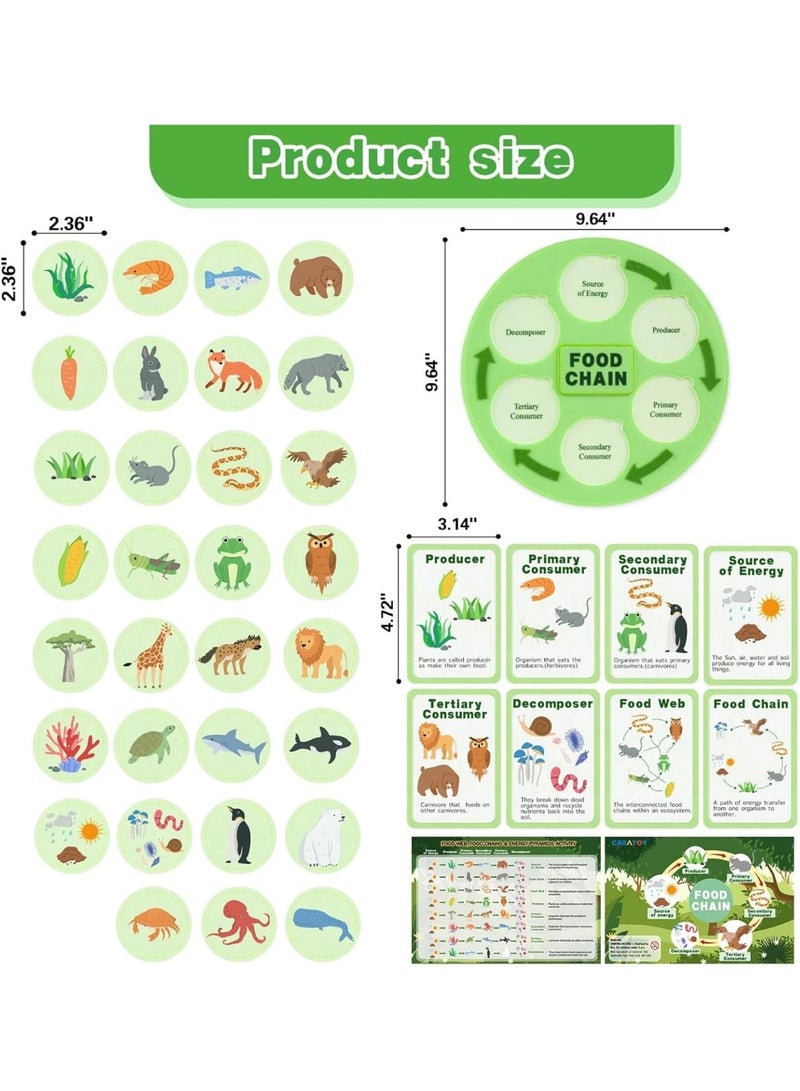 Life Cycle Kit Toy Montessori, 30 Flashcards, Toddler Science Activities for 2-4 Year Olds, Learning about Food Chains, Food Webs for Preschoolers,Early Learning Classroom Essentials,Educational Games - Image 5