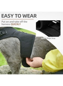 PUPTECK PUPTECK Soft Mesh Cat Vest Harness and Leash Set Puppy Padded Pet Harnesses Escape Proof for Cats Small Dogs Rabbits Bunny, Black XL  - Image 5