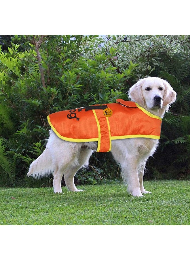 سايج سكوير معطف دافئ للكلاب بطباعة مميزة - حافظ على الدفء والموضة أثناء المواسم الباردة، معطف سترة مزدوج الطبقات للكلاب (مقاس كبير - 24 بوصة) (برتقالي) - Image 2