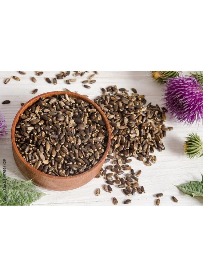 BSD Organics BSD Organic Milk Thistle/Paal Nerunjil/Silybum marianum Seed Powder - 100 Gram - Image 1