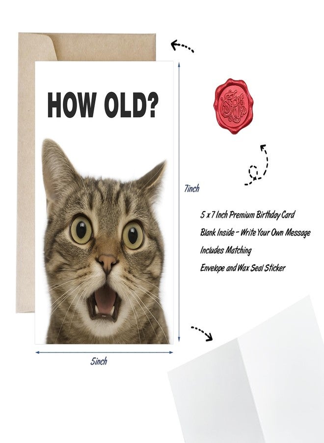 AMI Funny Birthday Card 5"x7" Humor Blank Inside DIY Greeting Card with Sealing Sticker and Envelope,Cute Card for Women Men Friends Family Coworkers Cat Lovers - Image 3