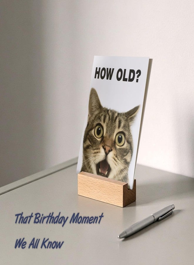 AMI Funny Birthday Card 5"x7" Humor Blank Inside DIY Greeting Card with Sealing Sticker and Envelope,Cute Card for Women Men Friends Family Coworkers Cat Lovers - Image 2