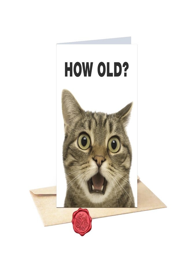 AMI Funny Birthday Card 5"x7" Humor Blank Inside DIY Greeting Card with Sealing Sticker and Envelope,Cute Card for Women Men Friends Family Coworkers Cat Lovers - Image 1
