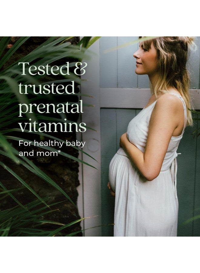 New Chapter Prenatal Vitamins, One Daily Prenatal Multivitamin with Methylfolate + Choline for Healthy Mom & Baby, Gluten Free & Non-GMO, 90 Count - Image 2