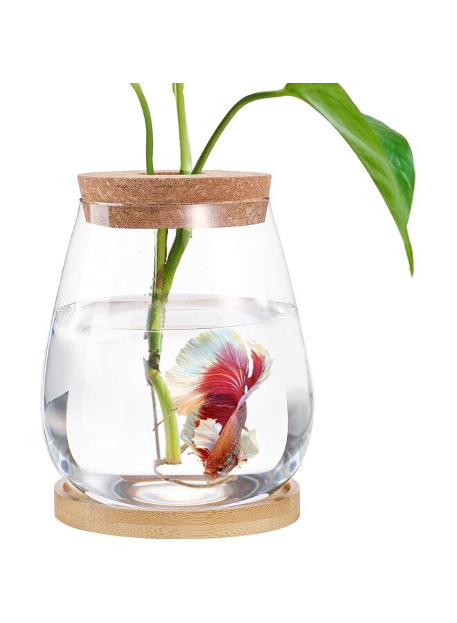 Betta Fish Tank - Mini Bowls for Beta Fish, Aquaponic Fish Tank Clear Hydroponic Plant Terrarium for Promoted Ecosphere Aquatic Ecosystem -Drop-Shaped (Size : 1000ml) - Image 1