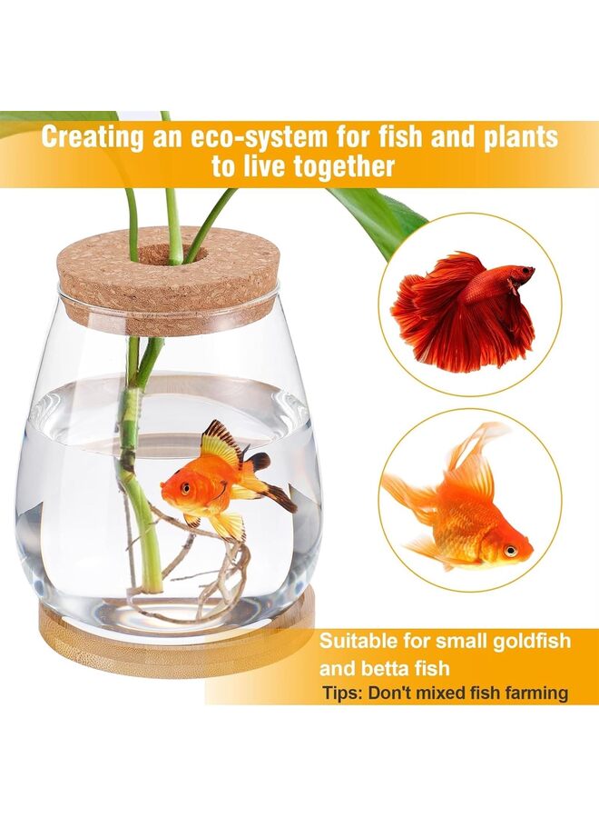 Betta Fish Tank - Mini Bowls for Beta Fish, Aquaponic Fish Tank Clear Hydroponic Plant Terrarium for Promoted Ecosphere Aquatic Ecosystem -Drop-Shaped (Size : 1000ml) - Image 3