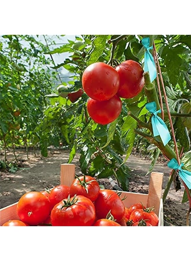 Loquat Outdoors Stretch Tie Tape, 1/2/0.5inch Wide 65 Feet Reusable Garden Plant Ties Green Tapes for Plants, Thick Garden Vinyl Stake Ribbon for Branches Flowers Tomatoes - Image 5