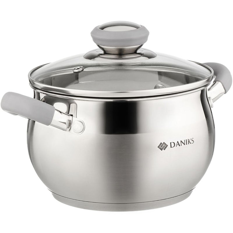 Daniks Modern Stainless Steel Stock Pot with Glass Lid Induction 2 Quart Dishwasher Safe Heatproof Handles For Soup Pasta Stew Silver