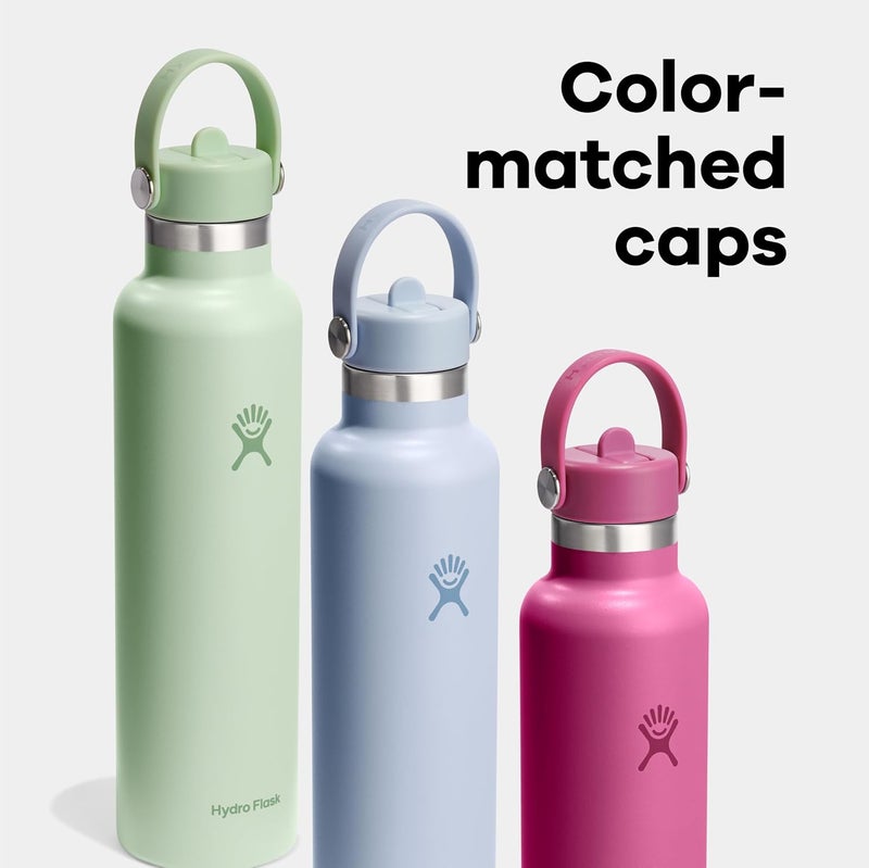 هايدرو فلاسك Hydro Flask Water Bottle - Insulated Stainless Steel - Straw Lid, Non Spill, Leakproof in 24 Oz Beachplum Purple - Image 4