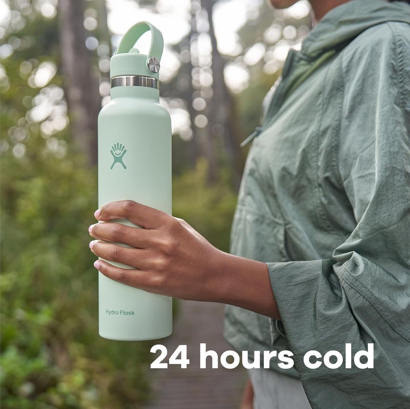هايدرو فلاسك Hydro Flask Water Bottle - Insulated Stainless Steel - Straw Lid, Non Spill, Leakproof in 24 Oz Beachplum Purple - Image 1