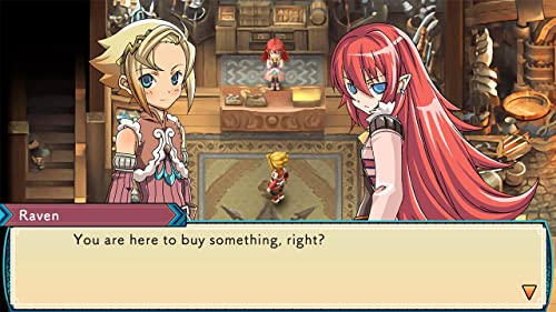 Xseed Games Rune Factory 3 Special – Golden Memories Limited Edition - Nintendo Switch - Image 4