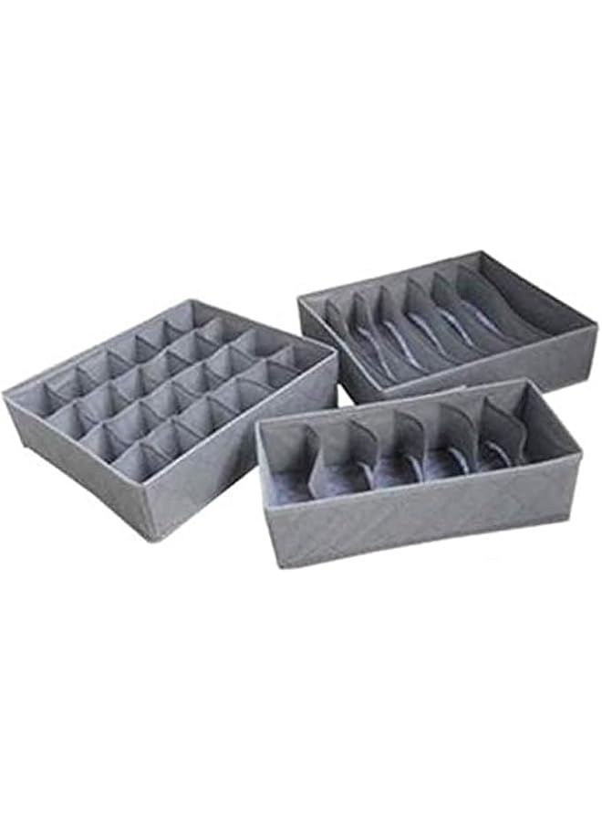 Green Tiger 3pcs Foldable Underwear & Bra Organizer Box - Non-Woven Fabric Storage Holder for Socks, Ties, and Accessories (Gray) - Image 1