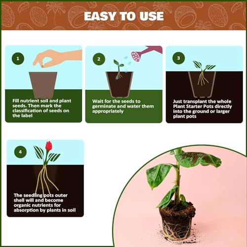 COIR GARDEN Coconut Fiber Seedling Pot, 6cm x 3.5cm x 5cm, 40 Pieces - Image 5