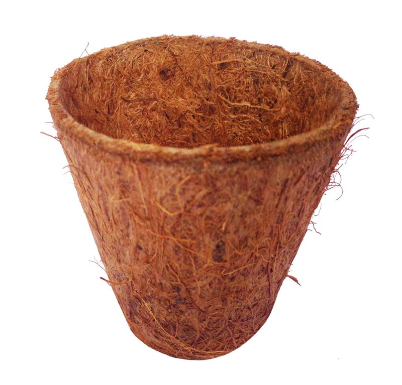 COIR GARDEN Coconut Fiber Seedling Pot, 6cm x 3.5cm x 5cm, 40 Pieces - Image 3