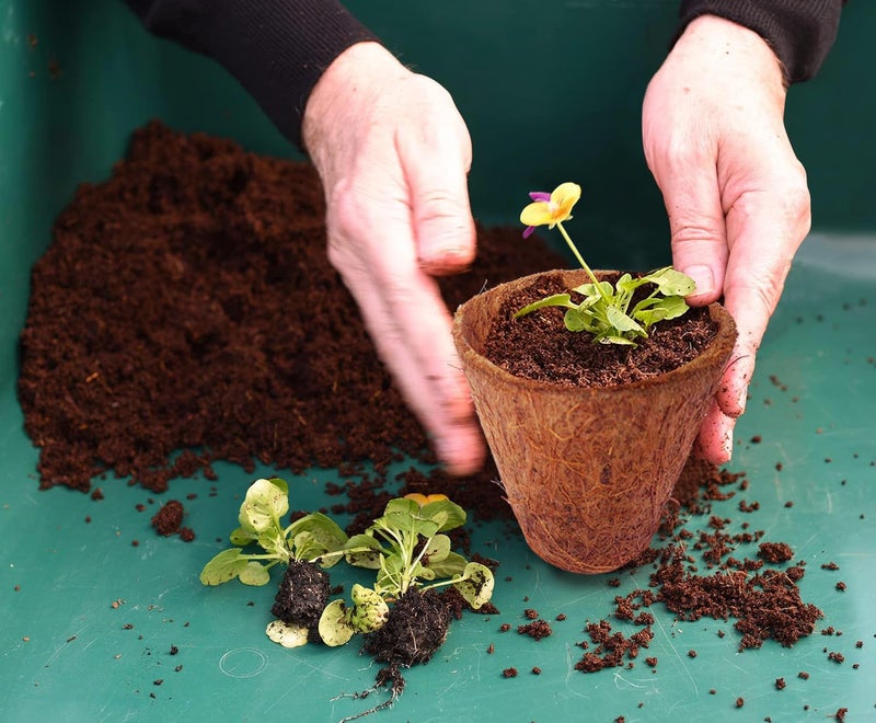 COIR GARDEN Coconut Fiber Seedling Pot, 6cm x 3.5cm x 5cm, 40 Pieces - Image 4