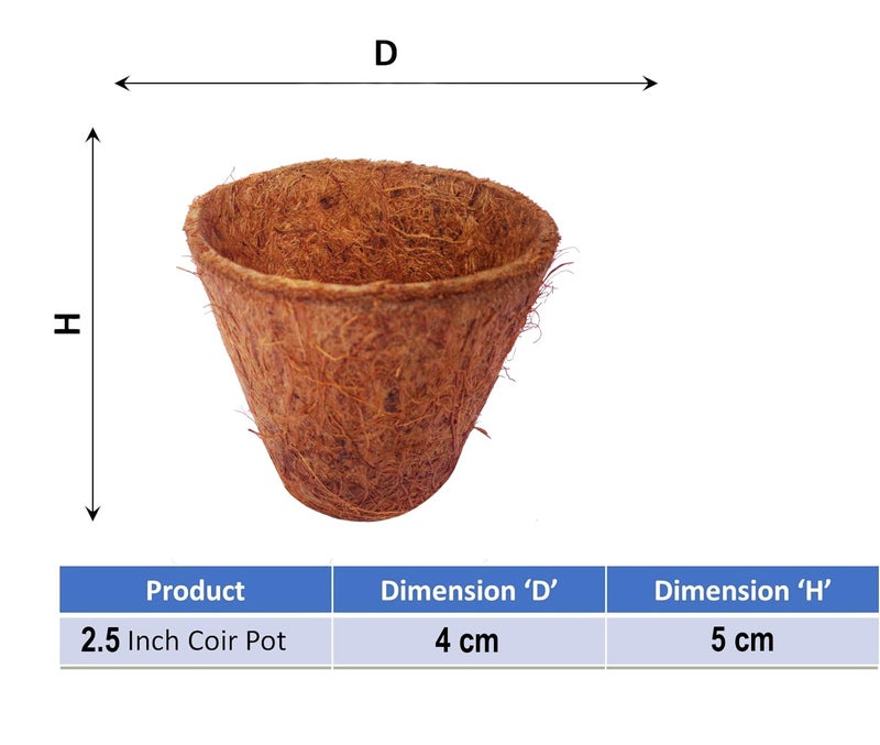 COIR GARDEN Coconut Fiber Seedling Pot, 6cm x 3.5cm x 5cm, 40 Pieces - Image 2