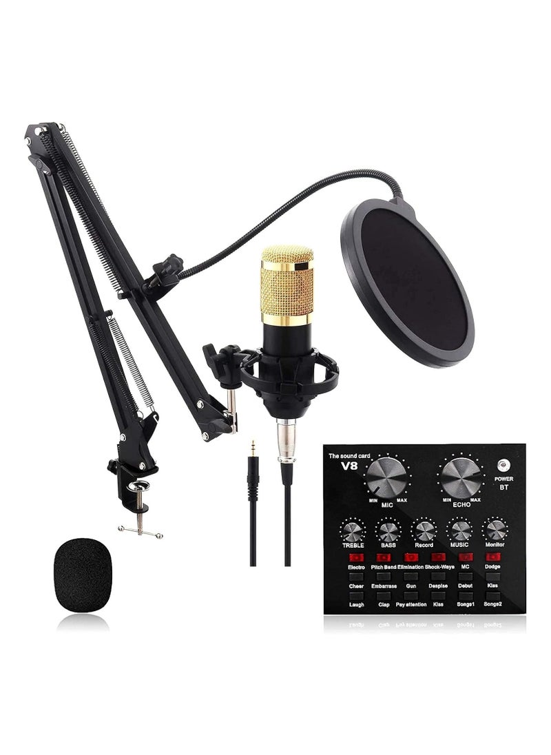Generic sound card, Condenser Microphone Bundle with Live Sound Card, Adjustable Mic Arm Stand Desk for Studio Recording & Broadcasting, Condenser Microphone, BM-800 Mic Kit  - Image 1