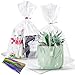 LOKQING LOKIQNG Cellophane Bags Plastic Gift Bag Clear Cookie Treat Bags with Twist Ties for Party Favor Bag100PACK 8x11inch - Image 1