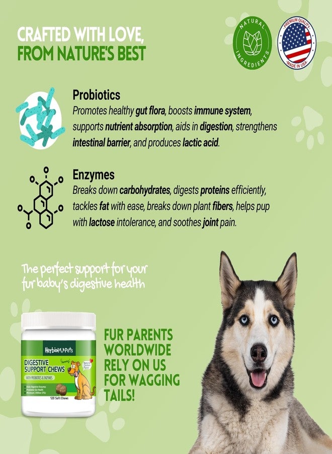 Herbion Pets Digestive Support Chews with Probiotics & Enzymes, 120 Soft Chews, with Daily Digestive Enzymes, for Improved Gut Health, Minimum 2 Billion CFUs, Made in USA for Dogs 12 Weeks+, Pack 1 - Image 3