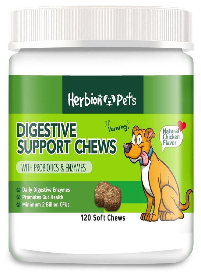 Herbion Pets Digestive Support Chews with Probiotics & Enzymes, 120 Soft Chews, with Daily Digestive Enzymes, for Improved Gut Health, Minimum 2 Billion CFUs, Made in USA for Dogs 12 Weeks+, Pack 1 - Image 1
