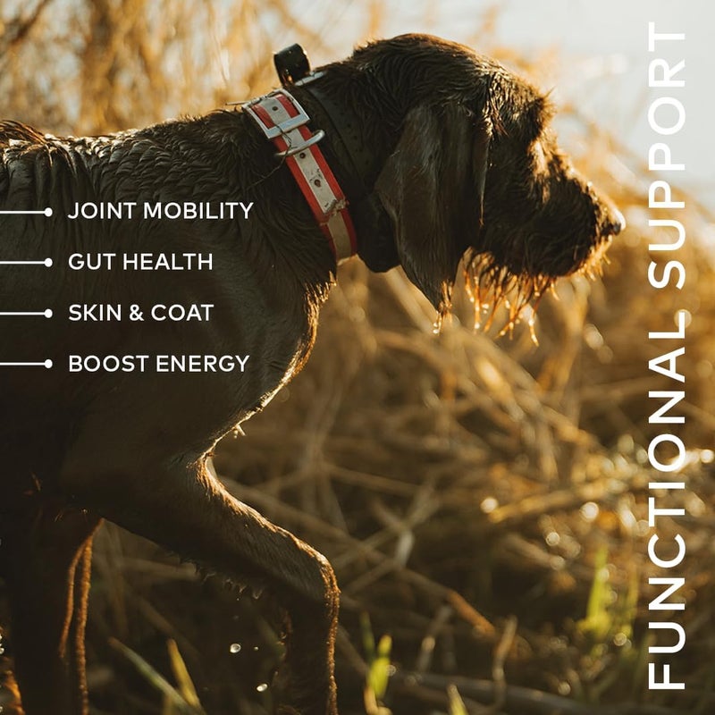 Furvor Beef Bone Broth Concentrate for Dogs - Collagen Protein Supplement - Digestion, Mobility, Coat, Immune System, Joints - Healthy Dog Food Gravy Topper - Human Grade, Made in USA (16 oz, 30 Servings) - Image 3