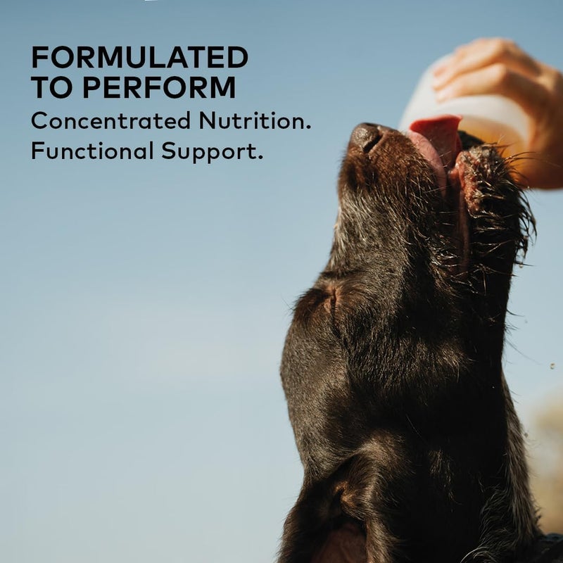 Furvor Beef Bone Broth Concentrate for Dogs - Collagen Protein Supplement - Digestion, Mobility, Coat, Immune System, Joints - Healthy Dog Food Gravy Topper - Human Grade, Made in USA (16 oz, 30 Servings) - Image 4