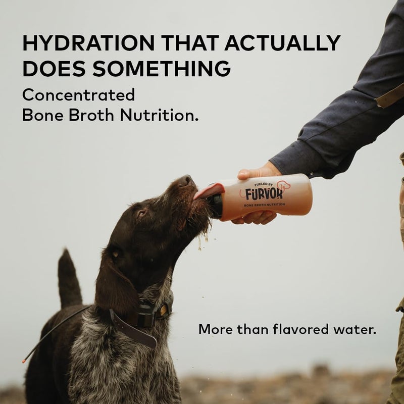 Furvor Beef Bone Broth Concentrate for Dogs - Collagen Protein Supplement - Digestion, Mobility, Coat, Immune System, Joints - Healthy Dog Food Gravy Topper - Human Grade, Made in USA (16 oz, 30 Servings) - Image 1
