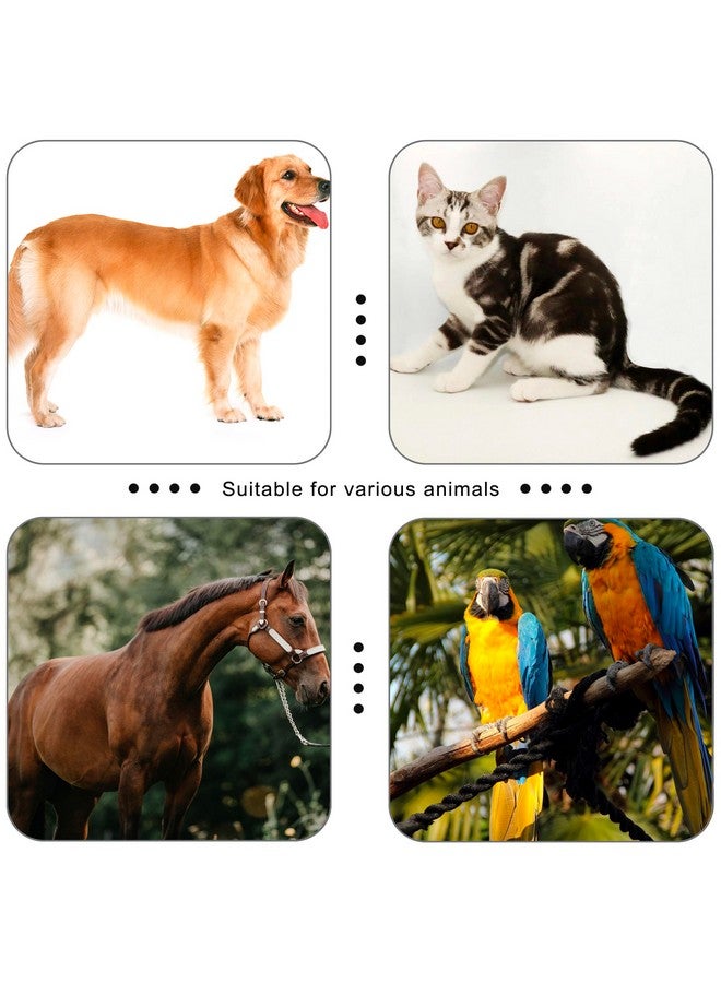 هواووو جهاز HoAoOo Pet Clicker للكلاب/القطط/الخيول/الطيور أو الحيوانات الأخرى - أجهزة نقر للتدريب (أزرق + أخضر) - Image 4