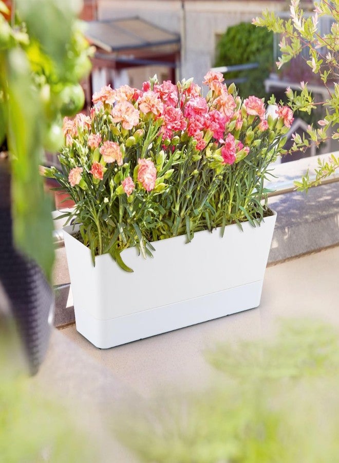 Sanbege Window Box Planter with Tray, 12" Rectangle Plant Pot, Pack of 3 (White) - Image 5