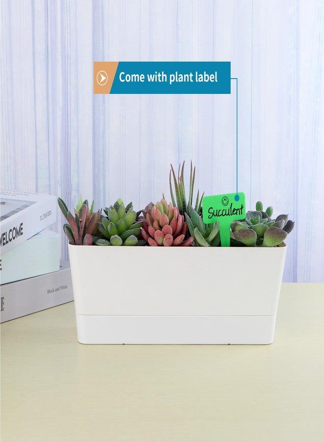 Sanbege Window Box Planter with Tray, 12" Rectangle Plant Pot, Pack of 3 (White) - Image 4