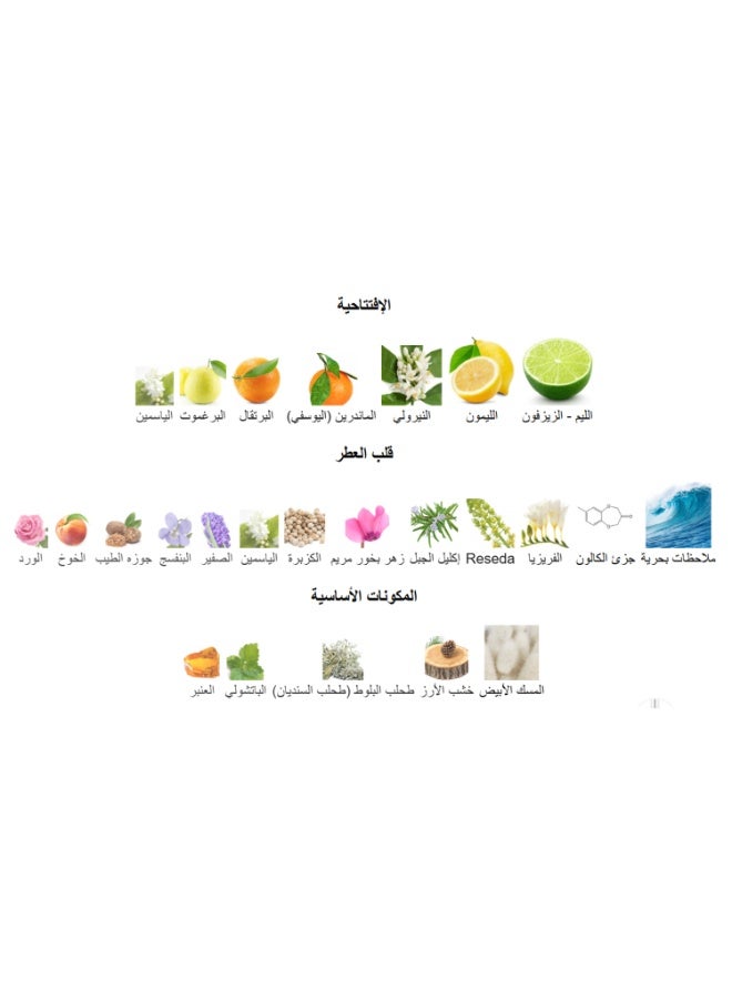 MAISON ALHAMBRA Jorge Di Profumo AQUA  For Men EDP 100ml - Image 3