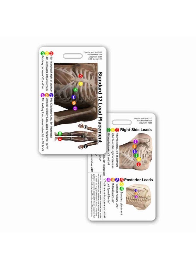 Scrubs and Stuff LLC 12 Lead Ekg Placement Vertical Badge Reference Card (1 Card) 