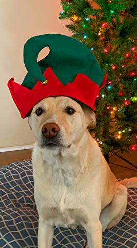 Funiverse Bulk 12 Pack Christmas Elf Hat with Jingle Bell Adult Sized and Perfect for Any Christmas Holiday Event - Image 5