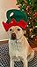 Funiverse Bulk 12 Pack Christmas Elf Hat with Jingle Bell Adult Sized and Perfect for Any Christmas Holiday Event - Image 4