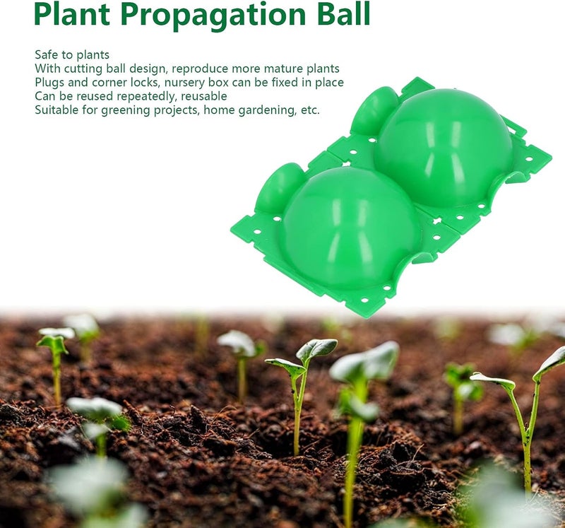ويوبلز 10 كرات لتجذير النباتات، قطر 12 سم، جهاز تحكم في نمو الجذور، صندوق أخضر، جهاز تجذير نباتات قابل لإعادة الاستخدام - Image 4