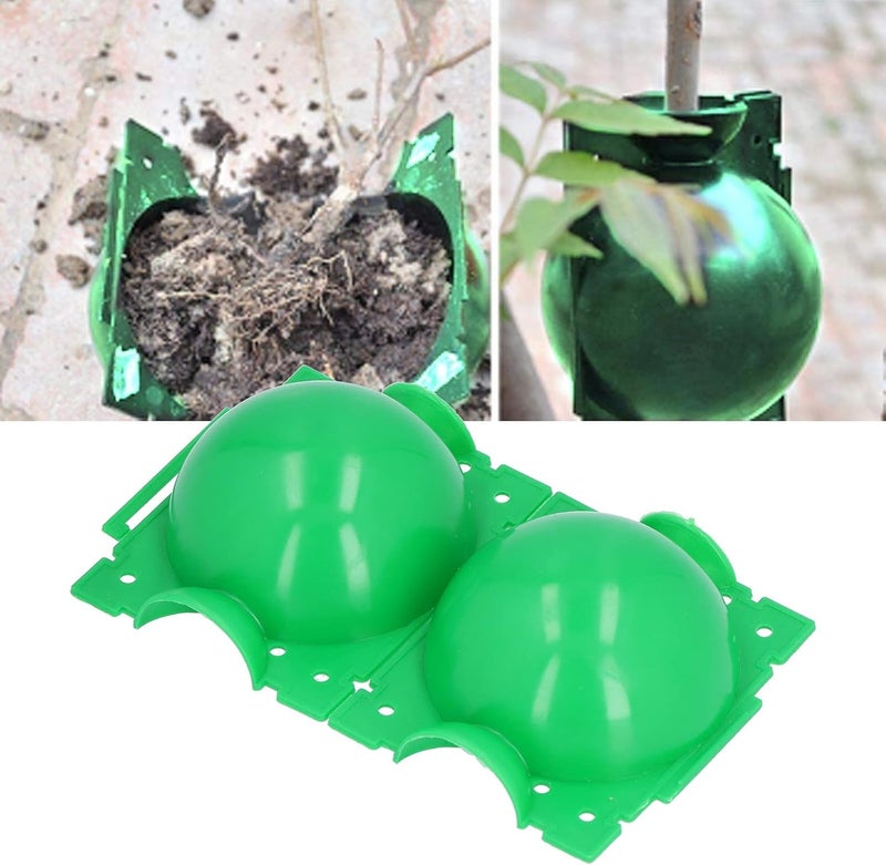 ويوبلز 10 كرات لتجذير النباتات، قطر 12 سم، جهاز تحكم في نمو الجذور، صندوق أخضر، جهاز تجذير نباتات قابل لإعادة الاستخدام - Image 1