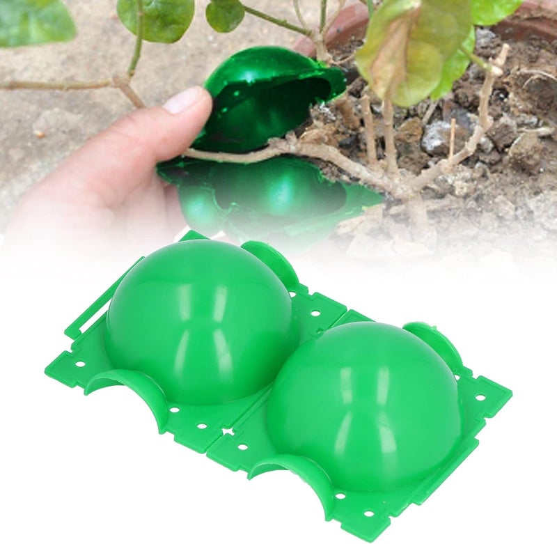 ويوبلز 10 كرات لتجذير النباتات، قطر 12 سم، جهاز تحكم في نمو الجذور، صندوق أخضر، جهاز تجذير نباتات قابل لإعادة الاستخدام - Image 2