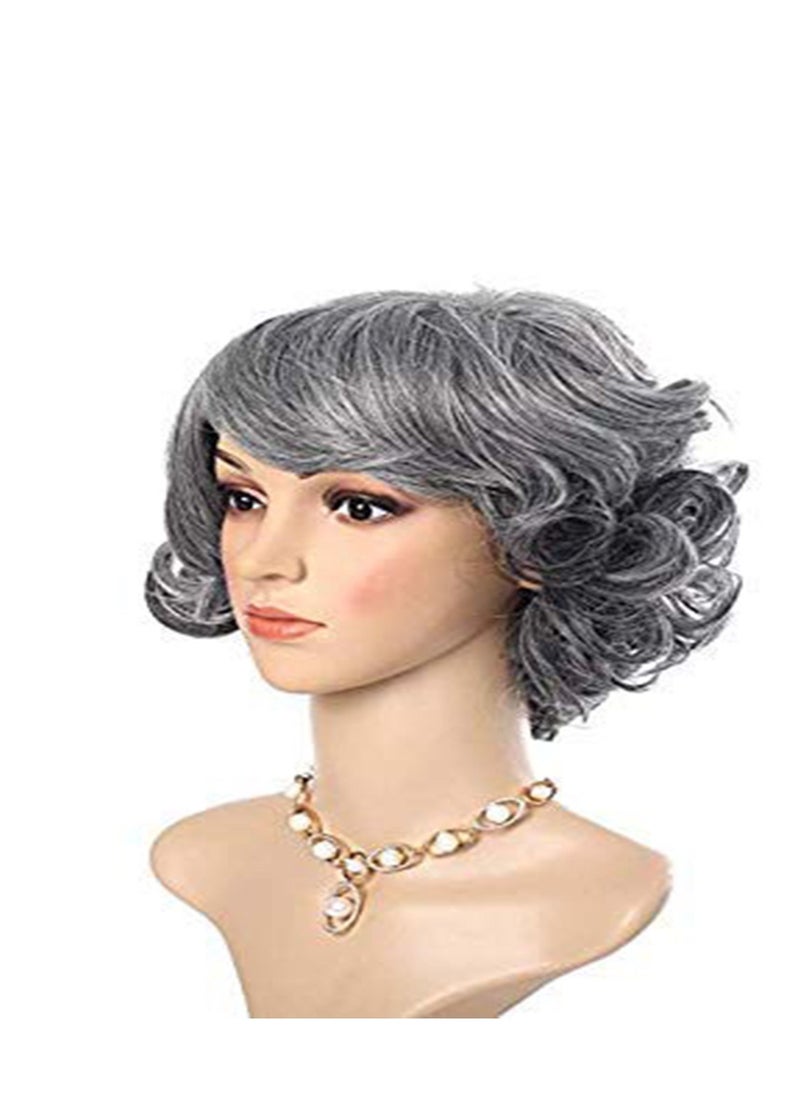 Generic - Short Wig Small Curly Hair And Fluffy Wig Silver Grey Gradual Change, For Old Middle Aged And Elderly Women Granny Cosplay - Image 1