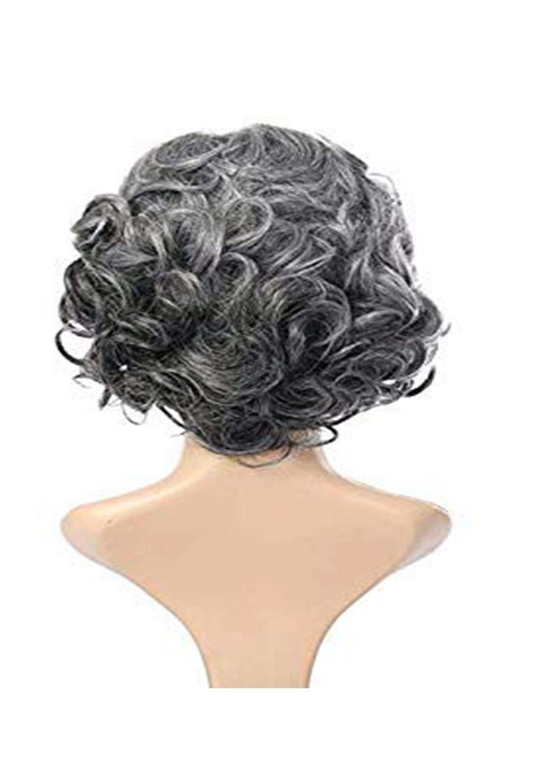 Generic - Short Wig Small Curly Hair And Fluffy Wig Silver Grey Gradual Change, For Old Middle Aged And Elderly Women Granny Cosplay - Image 1